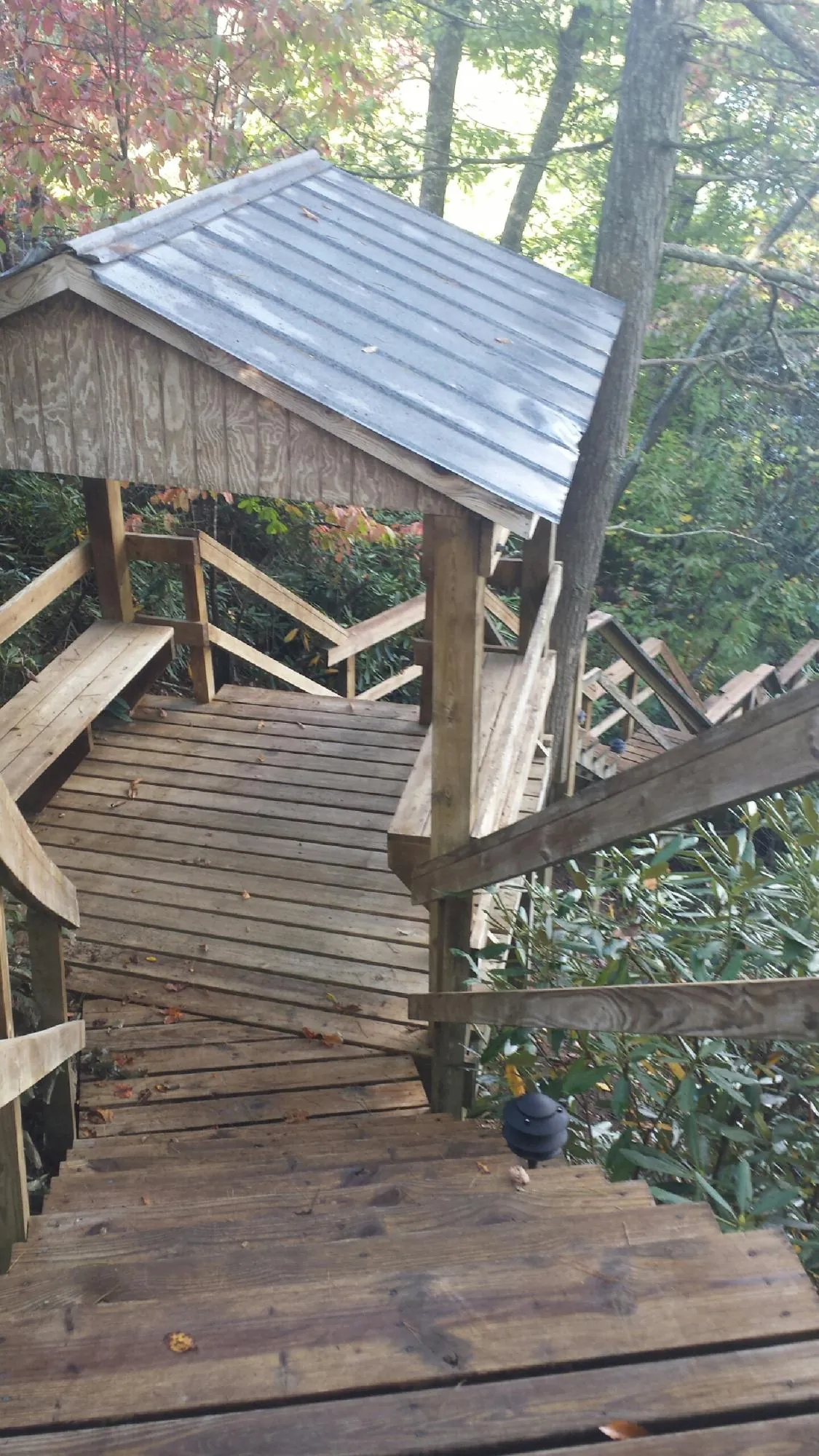 Metal roofed shelter over wooden steps on a wooded walkway — Skylight Repair & Installation work by our crew in Tahuya