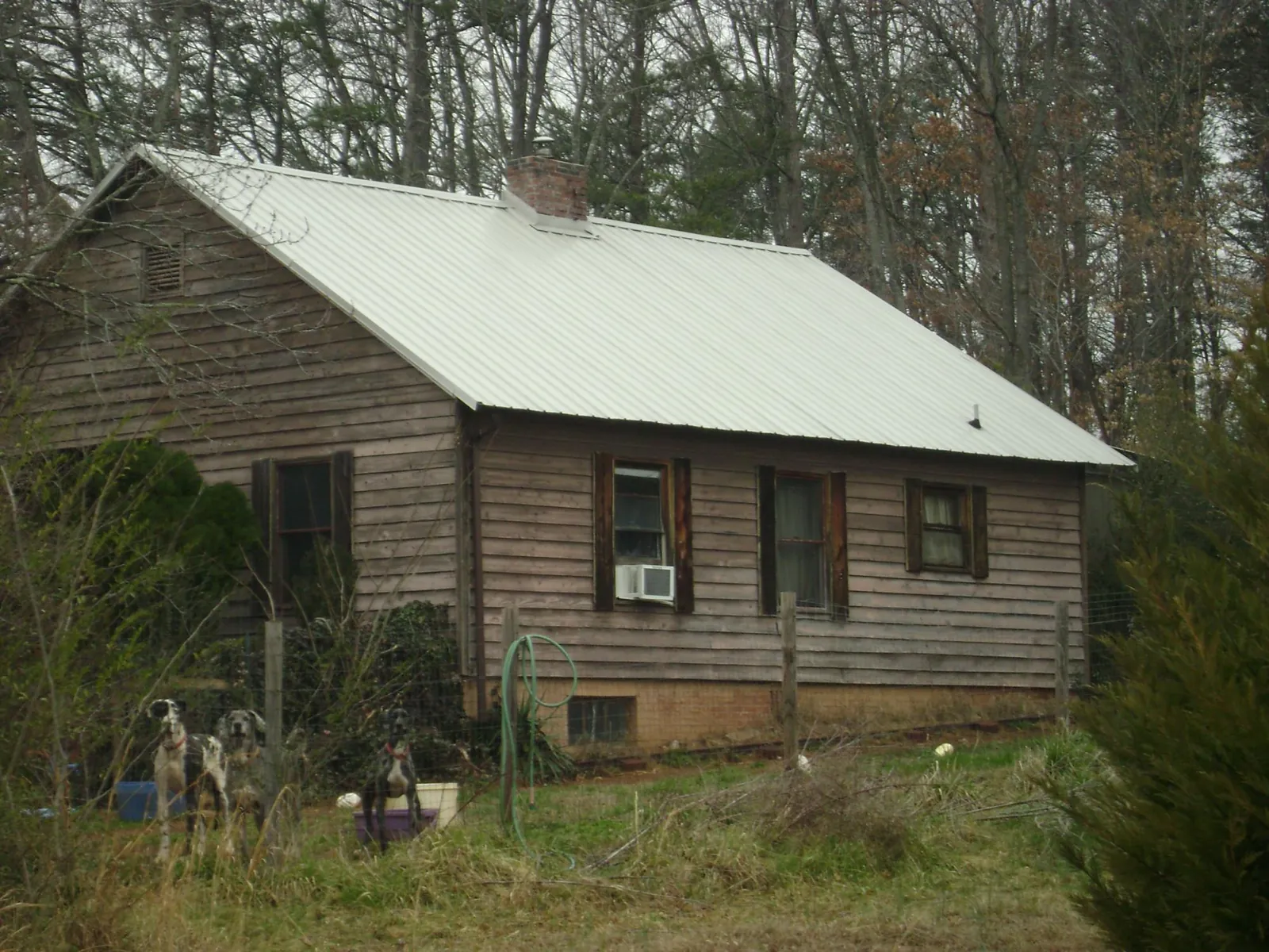 White metal roof on an old wood sided farmhouse, from a Metal Roof Installation job in Tahuya